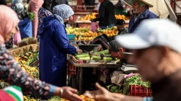 فيديو.. الناطق باسم الحكومة: نسبة ارتفاع الأسعار السنوية وصلت في بعض الأحيان إلى 33%