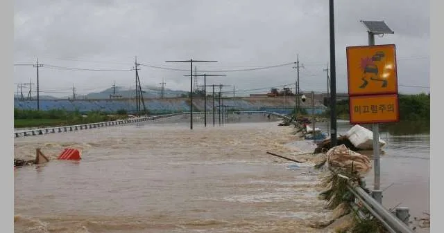 الأمطار الشديدة تتسبب في تلف حوالي 30 ألف هكتار من الأراضي الزراعية في كوريا الجنوبية الأمطار الشديدة تتسبب في تلف حوالي 30 ألف هكتار من الأراضي الزراعية في كوريا الجنوبية