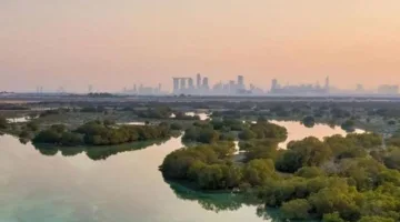 كيف يؤثر تغير المناخ على إعادة تشكيل العالم العربي