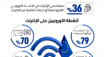 كيف يتعامل الأوروبيون مع الإنترنت؟