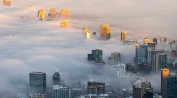 كيف يسهم التلوث الهوائي في تفاقم مرض الخرف؟