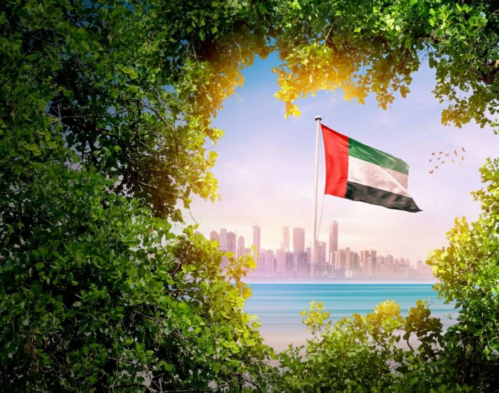 كيفن أوليري: الإمارات مركز المال العالمي كيفن أوليري: الإمارات مركز المال العالمي