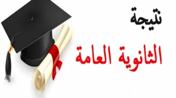 كيفية الحصول على نتيجة الثانوية العامة 2025 من خلال g12.emis.gov.eg