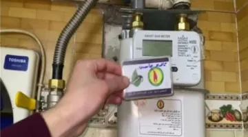 كيفية تسجيل قراءة عداد الغاز لشركة بتروتريد والاستعلام عن الفاتورة عبر الإنترنت