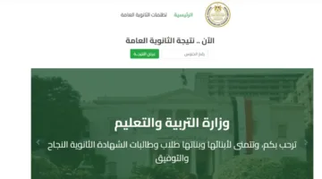 كيفية حساب النسبة المئوية لنتائج الثانوية العامة 2025