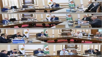 لجان اختيار المترشحين لوظيفة العميد في عدد من كليات جامعة القاهرة تكمل مهامها
