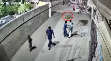 لقطات مخيفة لأسد يقفز على جدار ويهاجم امرأة وطفلين (فيديو)