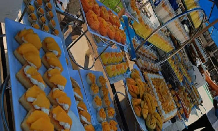 للتغلب على موجة الحر.. مهرجان المانجو يضفي البهجة على أجواء الغردقة للتغلب على موجة الحر.. مهرجان المانجو يضفي البهجة على أجواء الغردقة