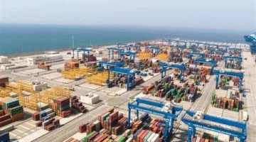 للسيطرة على الفوضى الإبداعية.. شعبة النقل الدولي في «غرفة القاهرة» تدعو لإنشاء هيئة لتنظيم اللوجستيات