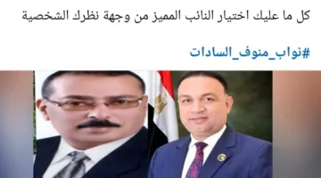 “لم أشهد كراهية بهذا الشكل من قبل” .. استياء كبير في منوف تجاه أداء نواب الدائرة
