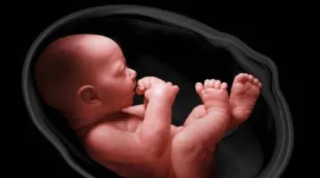 ما هو حكم استخدام الأدوية لتحديد جنس الجنين؟