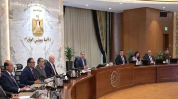 ما هي الوحدة الرئيسية في الشركات الحكومية وأهدافها؟