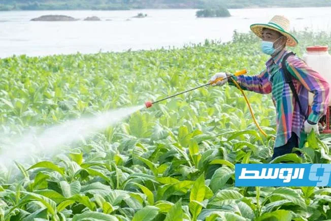 مبيد معروف يُثير جدلًا جديدًا ويُشعل «القلق» مبيد معروف يُثير جدلًا جديدًا ويُشعل «القلق»