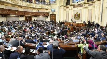 مجلس النواب يصدق على استقالة عضو برلمانيّة