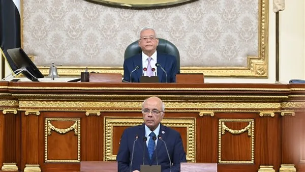 مجلس النواب يوافق مبدئيًا على مشروع قانون الإيجار القديم