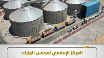 مجلس الوزراء: نظام توريد القمح يسير بسلاسة مع زيادة إقبال المزارعين