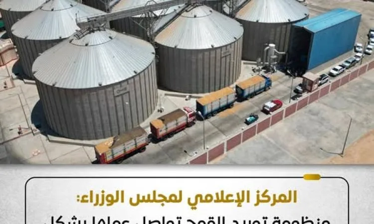 مجلس الوزراء: نظام توريد القمح يسير بسلاسة مع زيادة إقبال المزارعين