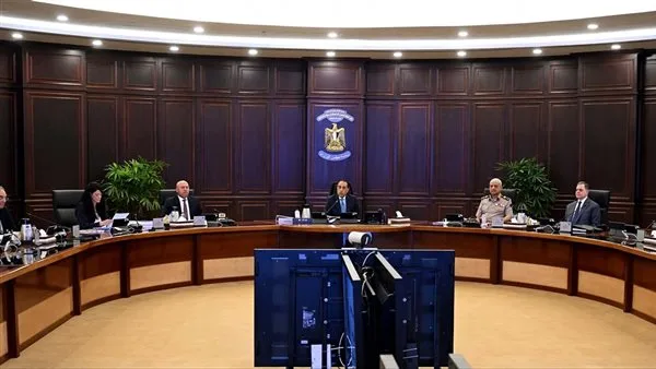مجلس الوزراء يوافق على منح الرخصة الذهبية لشركتين في مجالات الغذاء وطاقة الرياح مجلس الوزراء يوافق على منح الرخصة الذهبية لشركتين في مجالات الغذاء وطاقة الرياح