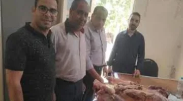 محافظ أسيوط: ضبط 1.7 طن من اللحوم غير الصالحة للأكل
