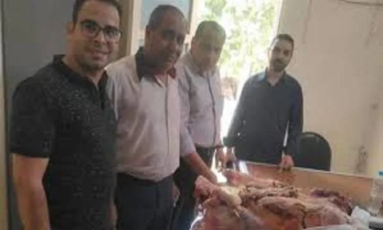 محافظ أسيوط: ضبط 1.7 طن من اللحوم غير الصالحة للأكل