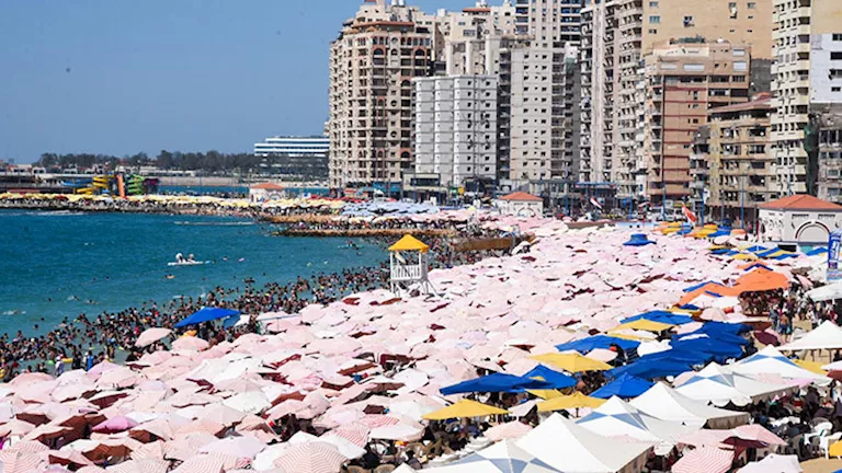 محافظ الإسكندرية يتفقد الكورنيش ويعطي توجيهات فورية لضبط الوضع – صور محافظ الإسكندرية يتفقد الكورنيش ويعطي توجيهات فورية لضبط الوضع – صور