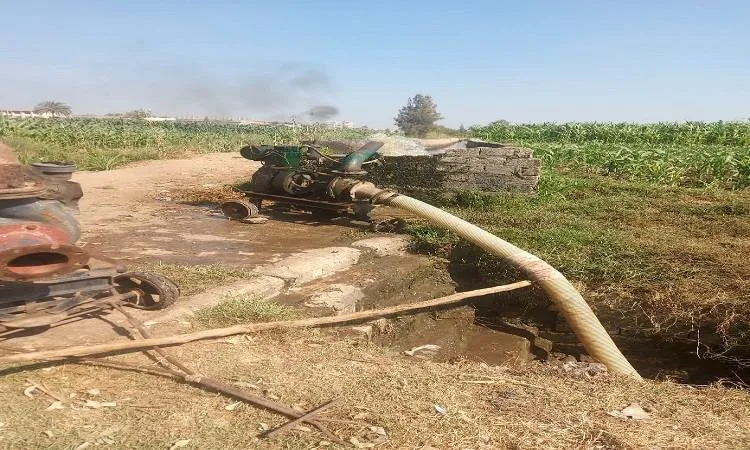 محافظ البحيرة يُصدر توجيهات لمراقبة انخفاض ضغط مياه الري في قرية بويط محافظ البحيرة يُصدر توجيهات لمراقبة انخفاض ضغط مياه الري في قرية بويط
