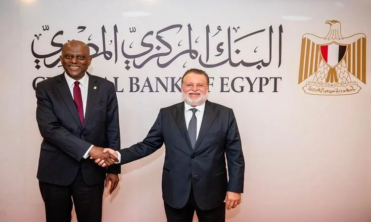 محافظ البنك المركزي يتباحث مع نظيره النيجيري حول تعزيز التعاون المشترك محافظ البنك المركزي يتباحث مع نظيره النيجيري حول تعزيز التعاون المشترك