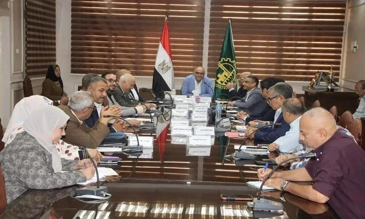 محافظ القليوبية يترأس اجتماع المجلس الإقليمي للصحة