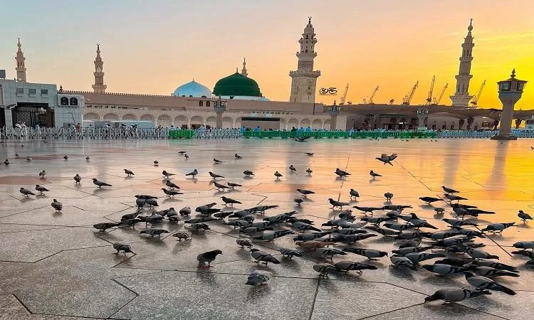 محبة الرسول ﷺ: المؤشرات والأدلة
