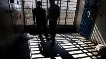مخالفات بيع خراف ميتة في بعلبك… القبض على والد وابنه للتحقيق.