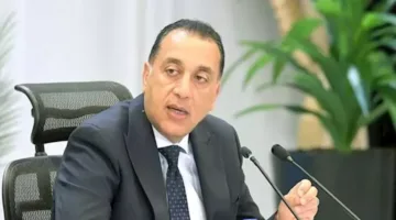 مدبولي: دخول 3 سفن لتغذية الغاز الخدمة بقدرة 2250 مليون قدم مكعب يوميًا