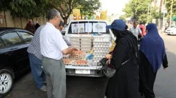 مراكز زراعية متنقلة تجوب القاهرة الكبرى بأسعار معقولة