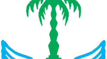 مركز دولي
