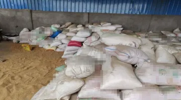 مصادرة 9 أطنان من الدقيق في عمليات تفتيش تموينية خلال 24 ساعة