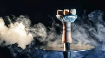 مصر تتصدر العالم في صادرات المعسل لعام 2024