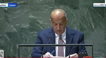 مصر تعارض اقتراح نقل الفلسطينيين إلى “المدينة الإنسانية”، وفقًا لمندوبها في الأمم المتحدة.