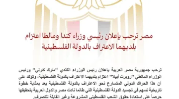 مصر تعبر عن ترحيبها بإعلان كندا ومالطا نيتهما الاعتراف بفلسطين كدولة.