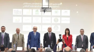 مصر تعد من أبرز دول تصدير الزيتون عالميًا بإنتاج سنوي يصل إلى مليون طن
