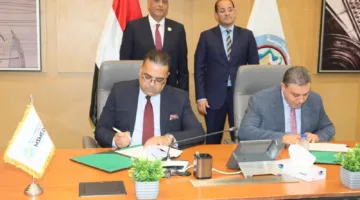 مصر: تفاصيل أكبر دعم حكومي للمشروعات الصغيرة اقتصادياً