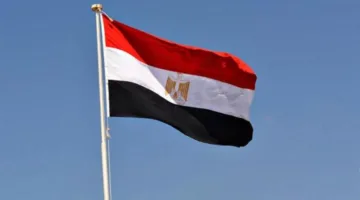مصر تندد بالهجمات الإسرائيلية على أماكن العبادة في غزة