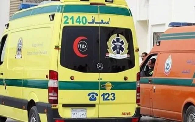 مصر.. فتاة تنضم لأشقائها الأربعة بعد وفاتهم بسبب مرض غامض. مصر.. فتاة تنضم لأشقائها الأربعة بعد وفاتهم بسبب مرض غامض.