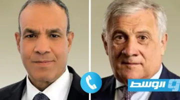 مصر وإيطاليا تؤكدان على أهمية تنظيم الانتخابات في ليبيا وضرورة حل الميليشيات.