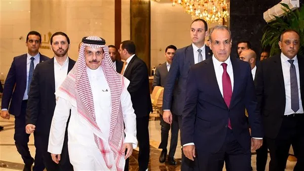 مصر والسعودية تنددان بالاعتداءات الإسرائيلية على الأراضي السورية مصر والسعودية تنددان بالاعتداءات الإسرائيلية على الأراضي السورية