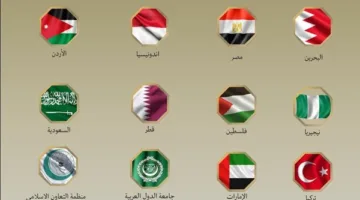 مصر وتسع دول أخرى تعبر عن إدانتها لموافقة الكنيست على فرض “السيادة الإسرائيلية” في الضفة الغربية المحتلة