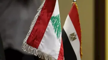 مصر ولبنان يناقشان الأوضاع في غزة وجنوب لبنان