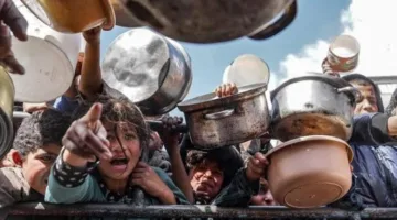 مطاوع: سياسة إسرائيل تجاه غزة وحرمانها من الغذاء ستؤدي إلى آثار لا يمكن تداركها.