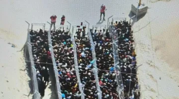 معسكر احتجاز مغلق في رفح.. خطة مقلقة للاحتلال تكشف نوايا التهجير