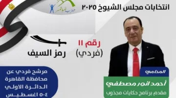 «مغامرة المجذوب إلى البرلمان».. أحمد أنور مصطفى يستعرض خطته الانتخابية لمجلس الشيوخ.