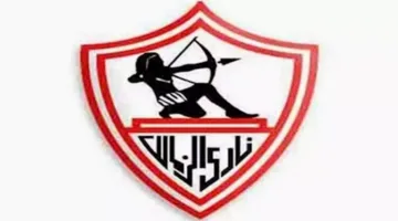مكونات خطة انتقالات جون إدوار مع نادي الزمالك