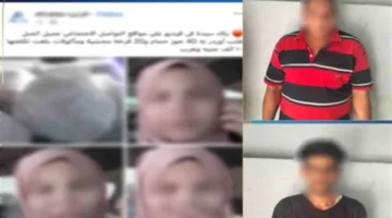 من إعلان فيسبوك إلى عملية احتيال: تفاصيل نصب على بائعة طيور في المعادي